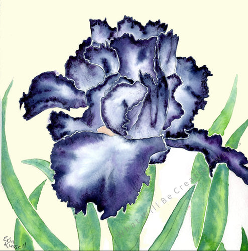 An affordable art print. 8x8 art print of a beautiful blue iris. Original art painting was done in watercolor. Artist E. Russell.