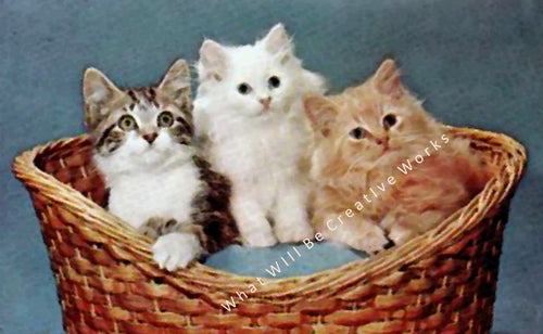 Download and print out this digital art print of kittens in a basket, originally a picture on a postcard from the 1950's. 