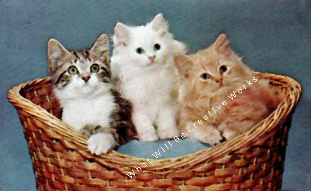 Download and print out this digital art print of kittens in a basket, originally a picture on a postcard from the 1950's. 