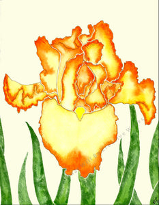 An affordable art print.  8.5x11 art print of a beautiful Iris in orange and yellow with a light background. Original art drawing/painting was done in watercolor (with pencil outline).  Printed with high resolution, 300 dpi, on quality 70# matte card stock paper with no border. 