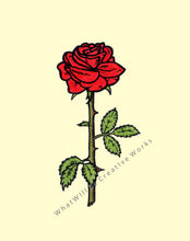 Load image into Gallery viewer, Simply elegant red rose 8x10 art print, cream background.  High quality, ready for framing.
