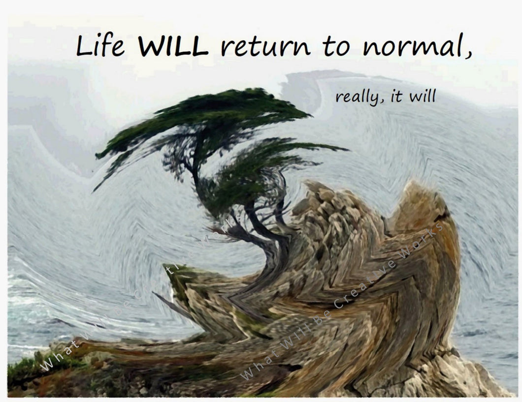 Return to Normal (Download)